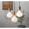 LED-lampa E27 R160 Funkis Star Trading – miniatyr 16