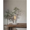 LED-lampa E27 ST64 Decoled Grace Clear Star Trading – miniatyr 2