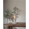 LED-lampa E27 ST64 Decoled Grace Clear Star Trading – miniatyr 1
