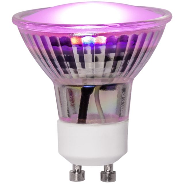 Star Trading LED-lampa GU10 MR16 Plant Light