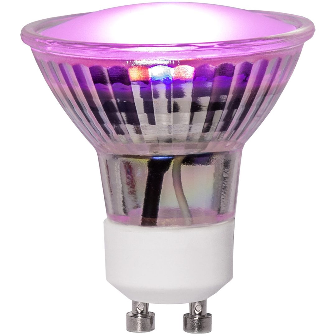 LED-lampa GU10 MR16 Plant Light Star Trading – bild 6