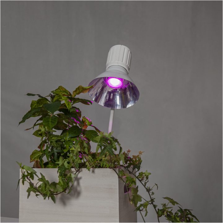 LED-lampa GU10 MR16 Plant Light Star Trading – bild 5