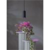 LED-lampa GU10 MR16 Plant Light Star Trading – miniatyr 3