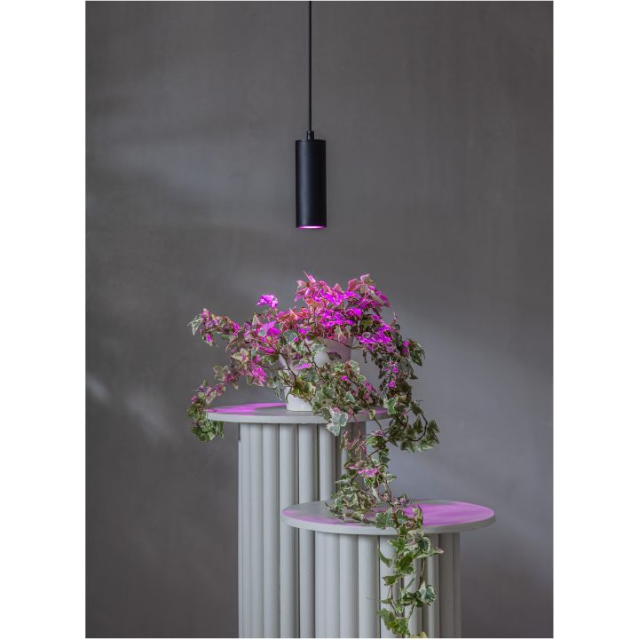 LED-lampa GU10 MR16 Plant Light Star Trading – bild 3