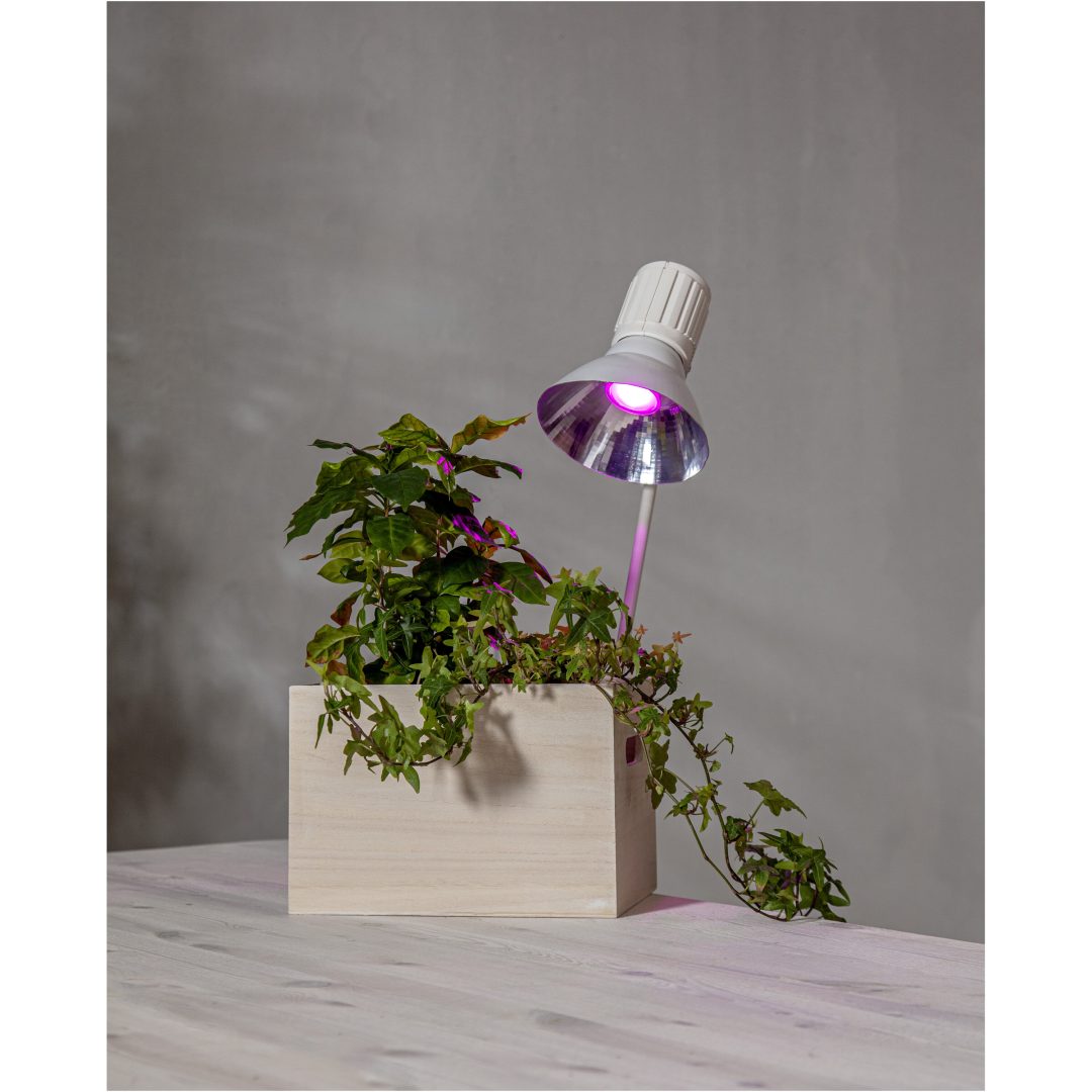 LED-lampa GU10 MR16 Plant Light Star Trading – bild 2