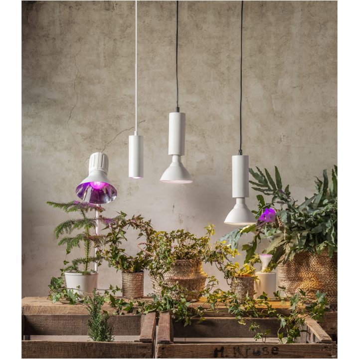 LED-lampa GU10 MR16 Plant Light Star Trading – bild 10