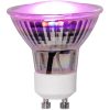 LED-lampa GU10 MR16 Plant Light Star Trading – miniatyr 7