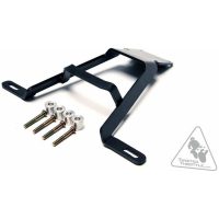 Light Mount Kawasaki KLR650E Denali