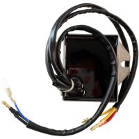 Likriktare och regulator Hot Shot Krom RICKS MOTORSPORT