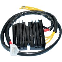 Likriktare och regulator Hot Shot Krom RICKS MOTORSPORT