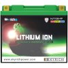 Litium-ion Batteri SKYRICH LT12B – miniatyr 3
