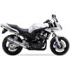 Ljuddämpare Hexoval Xtrem Rostfritt Stål/Aluminium Svart IXIL – miniatyr 3