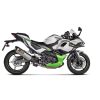 Ljuddämpare Slip-On Kolfiber/Titan Akrapovic – miniatyr 2