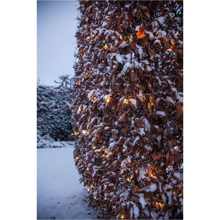 Ljusnät Shiny WarmWhite STAR TRADING – bild 7