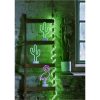 Ljusslang FlatNeonLED Grön Star Trading – miniatyr 6