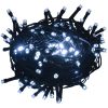 Ljusslinga 1000 LED inne/ute IP44 100 m kallvit vidaXL 100 m – miniatyr 2