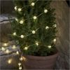 Ljusslinga Berry Star Trading – miniatyr 4