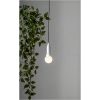 Ljusslinga Lighty Transparent Star Trading – miniatyr 5