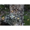 Ljusslinga Serie LED Svart Star Trading – miniatyr 4