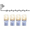 Ljusslinga Serie LED Transparent Star Trading – miniatyr 1