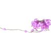 Ljusslinga Smart Fairy Light STAR TRADING – miniatyr 15