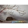 Ljusslinga Smart Fairy Light STAR TRADING – miniatyr 20