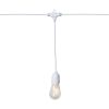 Ljusslinga String Light Vit Star Trading – miniatyr 1