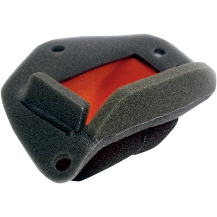 Luftfilter Twin Air Dual-Layer Twin Air Svart – bild 2