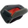 Luftfilter Twin Air Dual-Layer Twin Air Svart – miniatyr 1