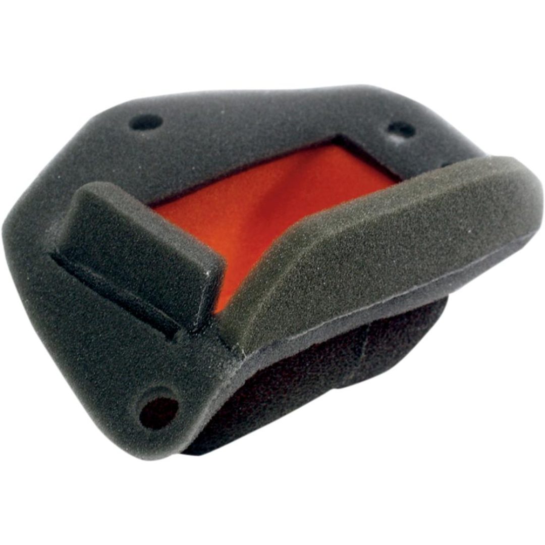 Luftfilter Twin Air Dual-Layer Twin Air Svart