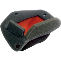 Luftfilter Twin Air Dual-Layer Twin Air