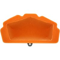 Luftfilter Twin Air