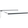 Manuell Utdragbar Markis Vit vidaXL 300 x 250 cm – miniatyr 2