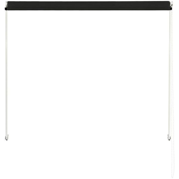 Markis antracit vidaXL 100 x 150 cm – bild 5