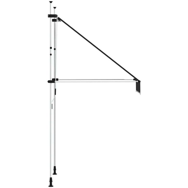 Markis manuellt infällbar 100 cm antracit vidaXL – bild 4