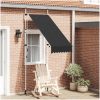Markis manuellt infällbar 100 cm antracit vidaXL – miniatyr 1