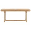 Matgrupp för trädgården 9 delar 180-280x100x75 cm teakträ vidaXL – miniatyr 3
