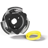 Maxi Delta Adjustable Clutch ø 135mm MALOSSI