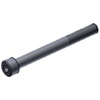 MIVV SCREW M8X80