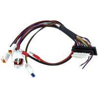 Moderkort Kabel E-p3 POLINI