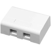 MONTAGEBOX 2XRJ45 VIT