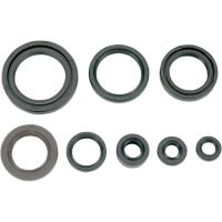 Motorpackning kit K+S TECHNOLOGIES