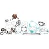 Motorrenoveringssats Komplett VERTEX Kit – miniatyr 2