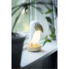 Nattlampa LED Functional Toucan Bird STAR TRADING – miniatyr 10