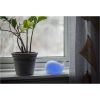 Nattlampa LED Whale Vit Star Trading – miniatyr 20