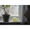 Nattlampa LED Whale Vit Star Trading – miniatyr 1