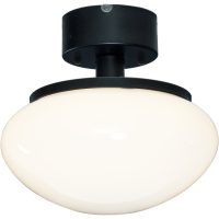 NEW AUGUST plafond
