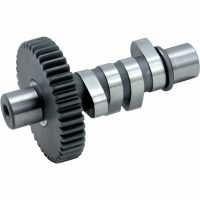 Nockaxel H-grind S&S Cycle