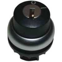 NYCKELDON 2 LÄGEN 60GR MS1M22-WRS