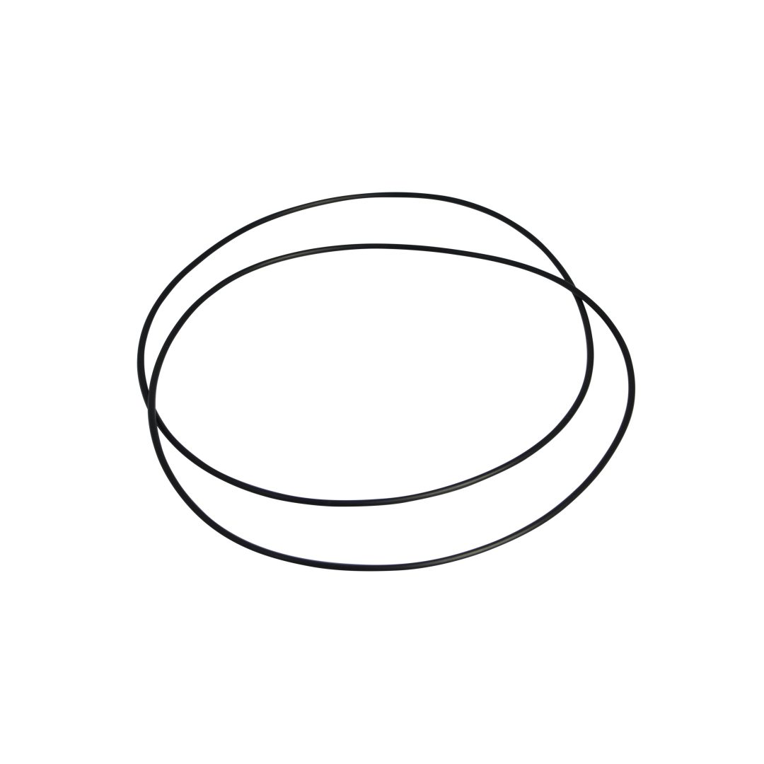 O-Ring DWT DOUGLAS WHEEL